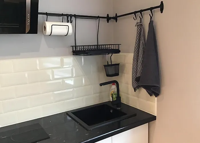 Apartamento Aisa 21 *