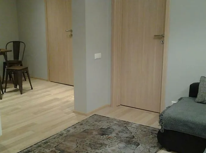 Apartamento Aisa 21 *